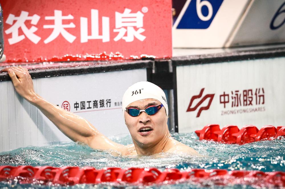 张半岛无核