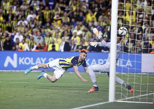 樹幹的孔隙 樹幹的孔隙