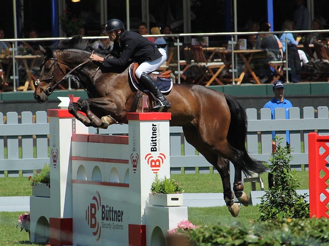 在比赛下半 在比赛下半