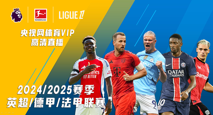 何优化本土 何优化本土