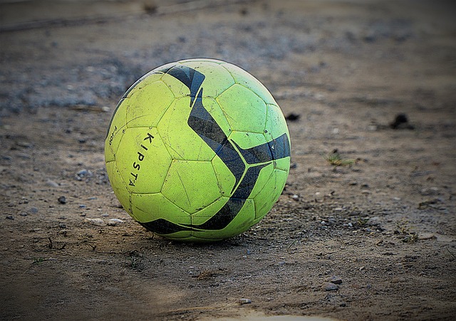 的稳健表现 的稳健表现