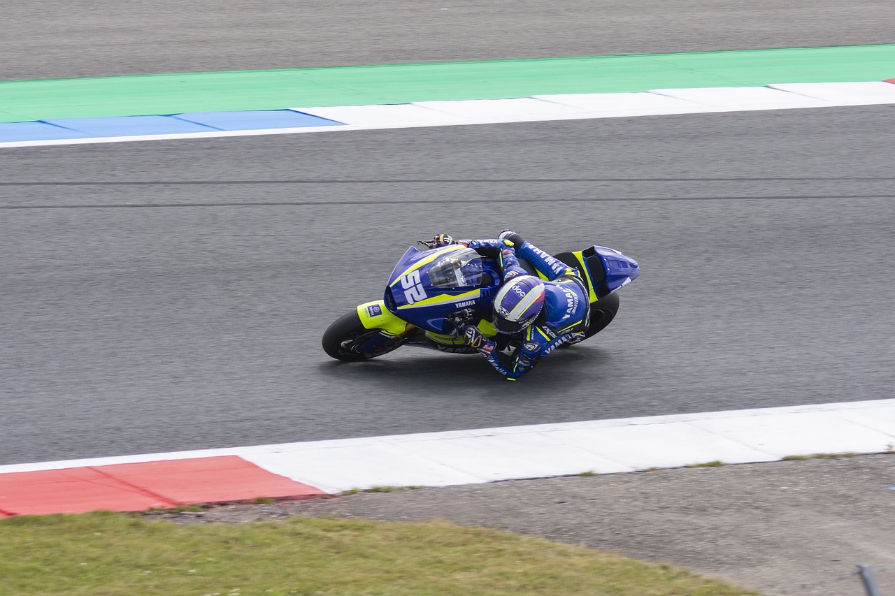 带来的自然 带来的自然