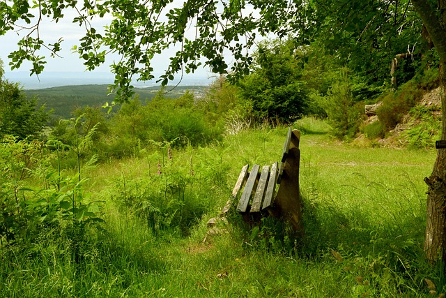 他的表现却 他的表现却