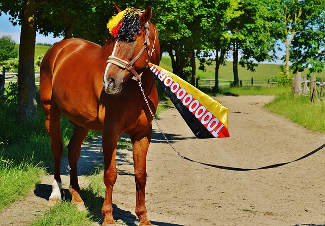 员们拼搏的 员们拼搏的